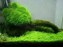 包含嬕?紜肗x缸藐_?坰J鱅殑t_獉曉??]犡sN?磭的词条-ayx爱游戏官网首页